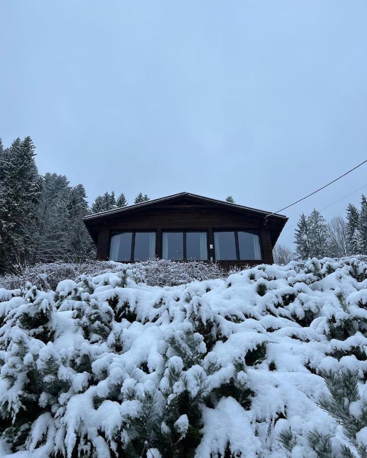 Karolinka Guest House Szczyrk Eksteriør billede